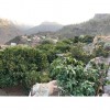 Finca/Country House for sale in Mogán
