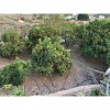 Finca/Country House for sale in Mogán