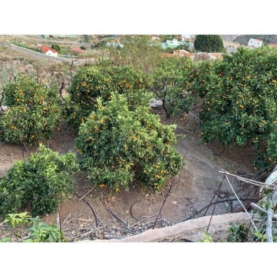 Finca/Country House for sale in Mogán
