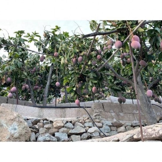 Finca/Country House for sale in Mogán