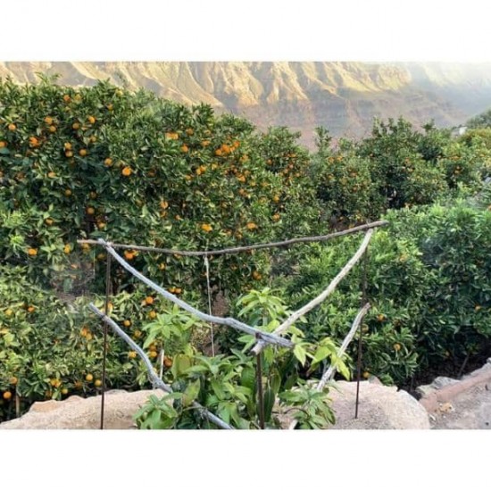 Finca/Country House for sale in Mogán