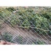 Finca/Country House for sale in Mogán