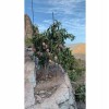 Finca/Country House for sale in Mogán