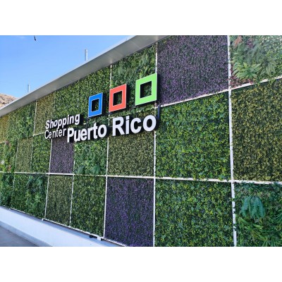 Commercial Property in Puerto Rico
