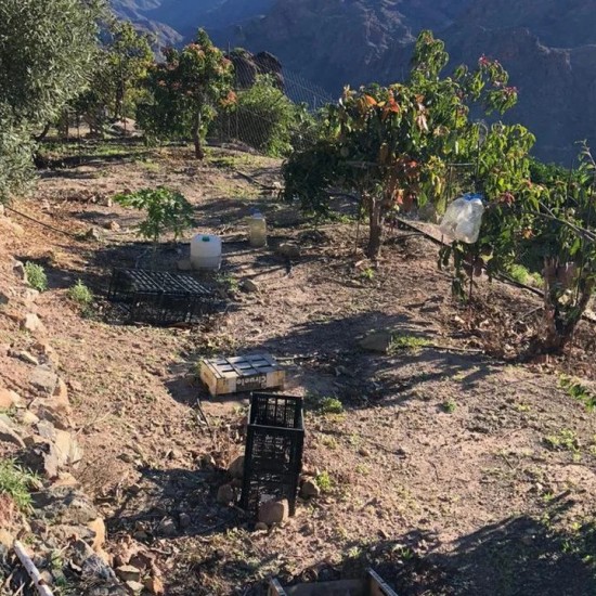 Land in Mogan, Gran Canaria