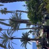 Apartment in Playa Del Aguila, Gran Canaria