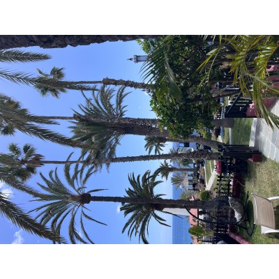 Apartment in Playa Del Aguila, Gran Canaria