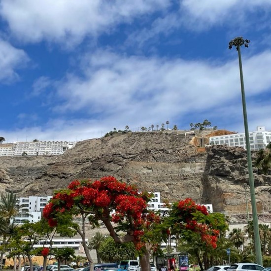 Land in Mogan, Gran Canaria