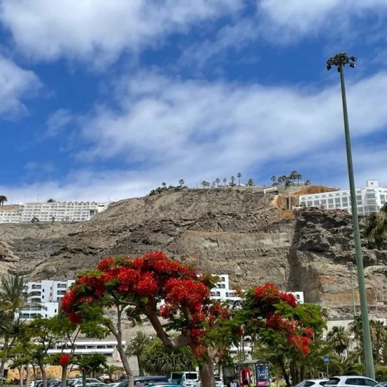 Land in Mogan, Gran Canaria