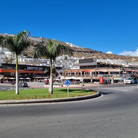 Commercial property in Mogan, Gran Canaria