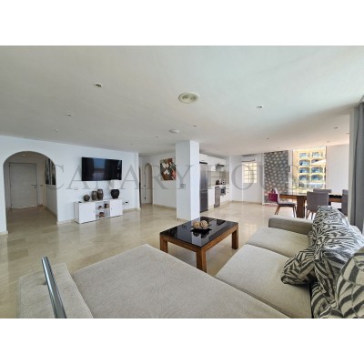 Apartment in Mogan, Gran Canaria