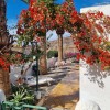 Villa in Mogan, Gran Canaria