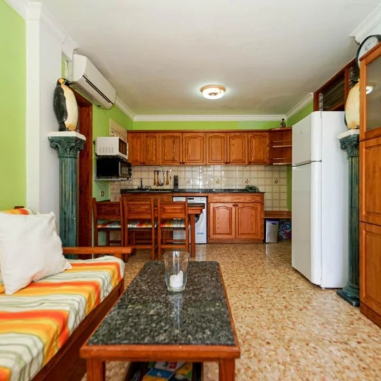 Apartment in Mogan, Gran Canaria
