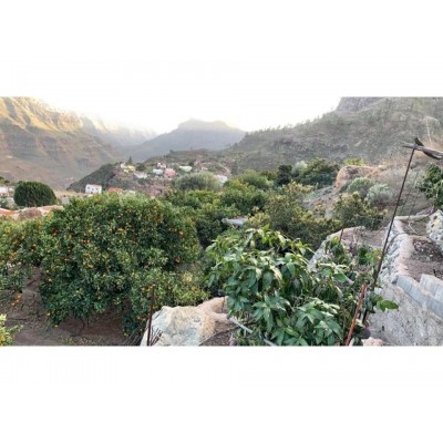 Landhus i Mogan, Gran Canaria