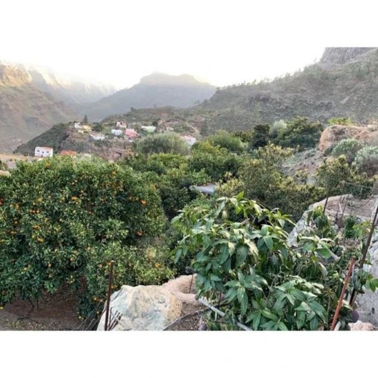 Lantligt hus i Mogan, Gran Canaria