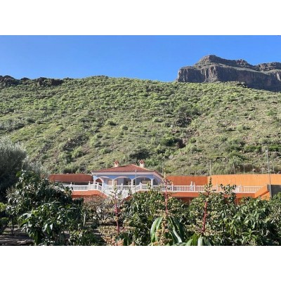 Villa in Mogan, Gran Canaria