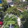 Villa in Mogan, Gran Canaria
