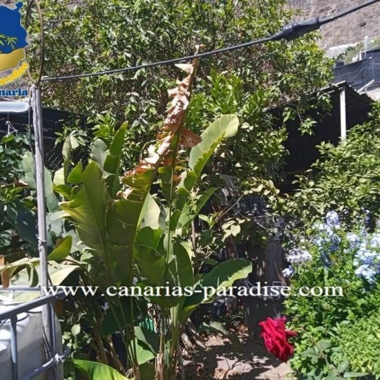 Villa in Mogan, Gran Canaria