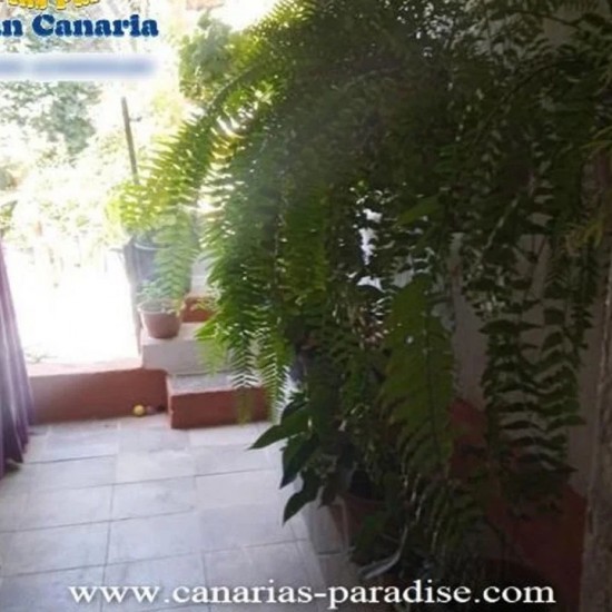 Villa in Mogan, Gran Canaria