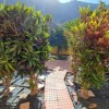 Apartment in Mogan, Gran Canaria