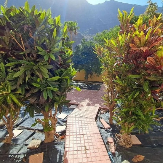 Apartment in Mogan, Gran Canaria