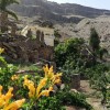 Finca/Country House for sale in Maspalomas, San Bartolomé de Tirajana