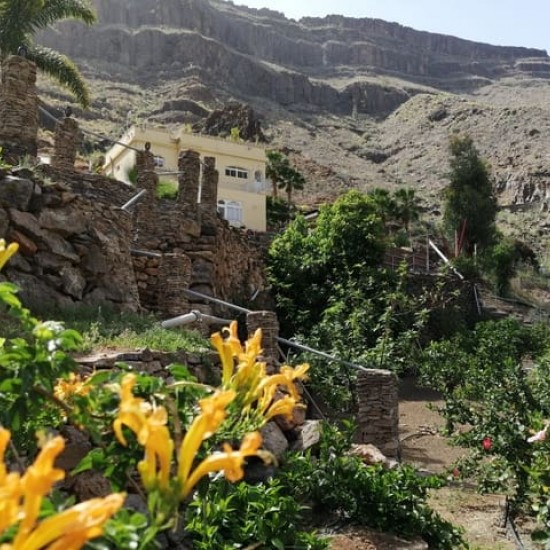 Finca/Country House for sale in Maspalomas, San Bartolomé de Tirajana
