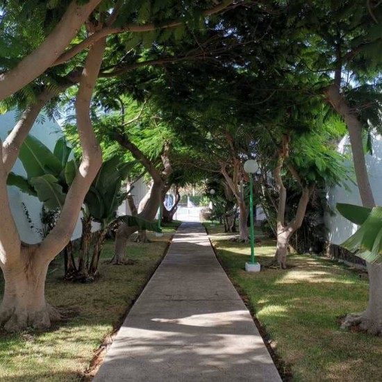 Bungalow for sale in Maspalomas, San Bartolomé de Tirajana