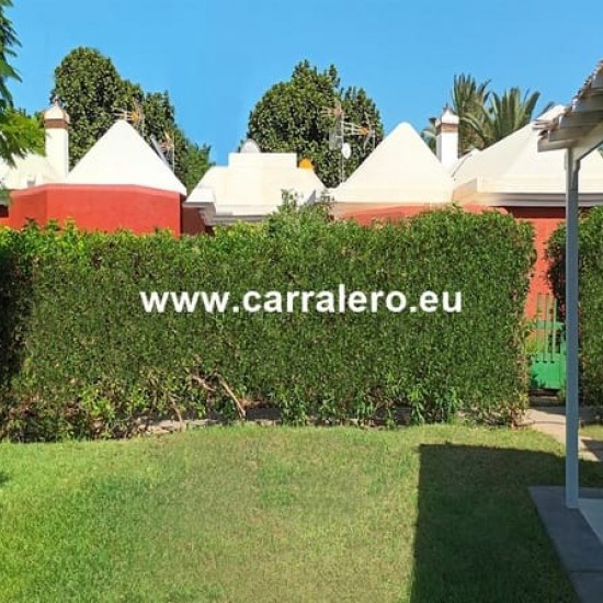 Bungalow for sale in Maspalomas, San Bartolomé de Tirajana