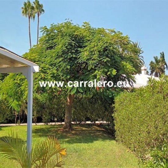 Bungalow for sale in Maspalomas, San Bartolomé de Tirajana
