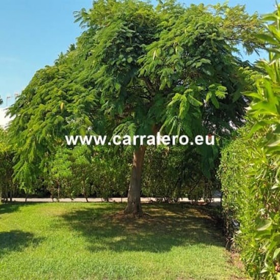 Bungalow for sale in Maspalomas, San Bartolomé de Tirajana