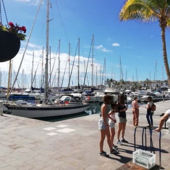 Commercial for sale in Playa de Mogán, Mogán