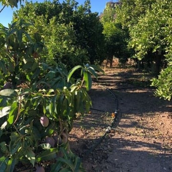 Undeveloped Land for sale in Mogán