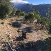 Undeveloped Land for sale in Mogán