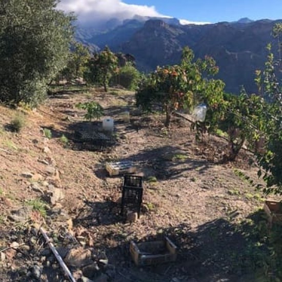 Undeveloped Land for sale in Mogán