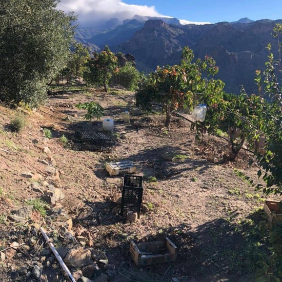Undeveloped Land for sale in Mogán