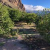 Undeveloped Land for sale in Mogán