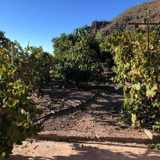 Undeveloped Land for sale in Mogán