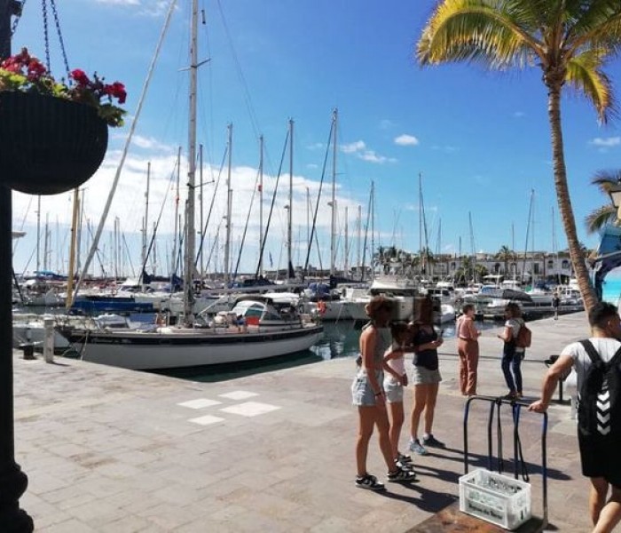 Restaurant/Bar til salg i Playa de Mogán, Mogán