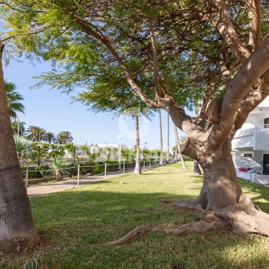 Flat for sale in Puerto Rico, Mogán