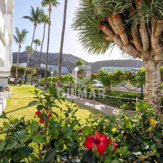 Flat for sale in Puerto Rico, Mogán