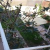 Finca/Country House for sale in Arguineguín, Mogán