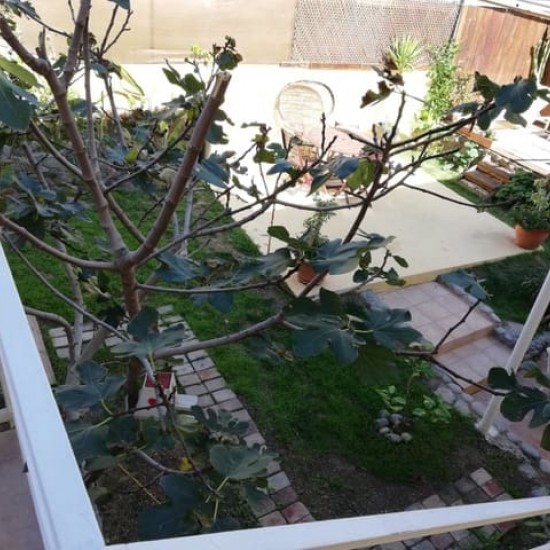 Finca/Country House for sale in Arguineguín, Mogán