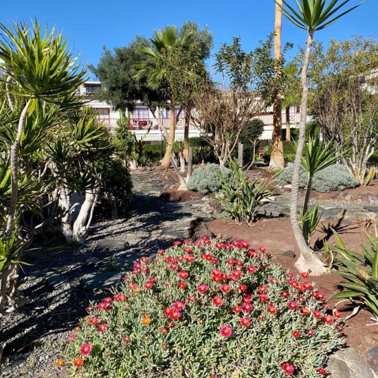 Apartment for sale in Playa del Cura, Mogán