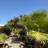 Bungalow for sale in Maspalomas, San Bartolomé de Tirajana