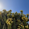 Bungalow for sale in Maspalomas, San Bartolomé de Tirajana