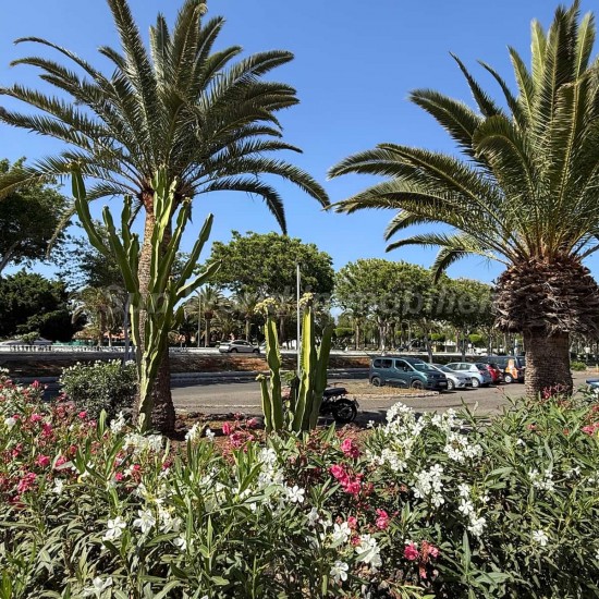 Bungalow for sale in Maspalomas, San Bartolomé de Tirajana