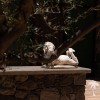 Finca/Country House for sale in Mogán