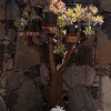 Finca/Country House for sale in Mogán